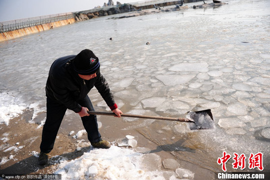 在山东省烟台东炮台风景区生态海豹湾，工作人员正在破冰。初阳 摄 CFP/视觉中国
