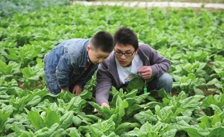 男教师指导儿童认识蔬菜