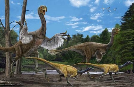 内蒙古发现当今世界上最大似鸟恐龙化石(图)