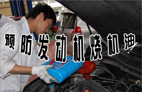 了解不同车型号发动机 预防发动机烧机油