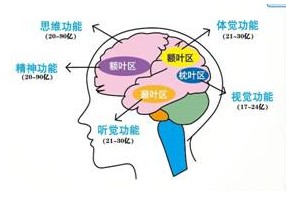 皮纹测试(图)