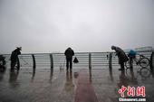 广西龙江河镉浓度下降 糯米滩电站停止投放药剂