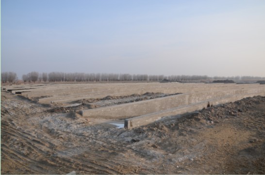 奶羊场青贮窖(5119立方米),已制作玉米青贮饲草0吨.