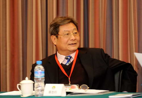 中国足球协会副主席容志行出席会议