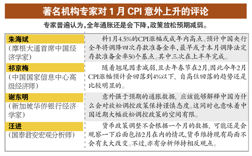 CFP供图