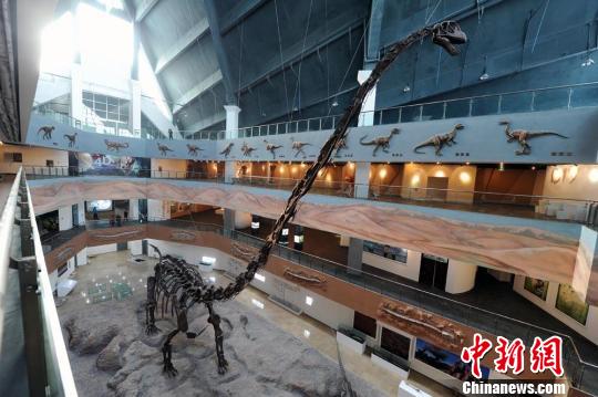高18米，长31.9米，于2006年在新疆奇台县恐龙沟出土的亚洲第一龙化石占据了主展厅的重要位置。刘新 摄