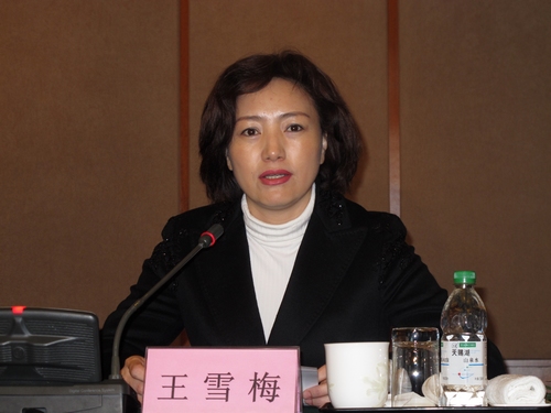 伊春市委常委,宣传部长王雪梅致辞