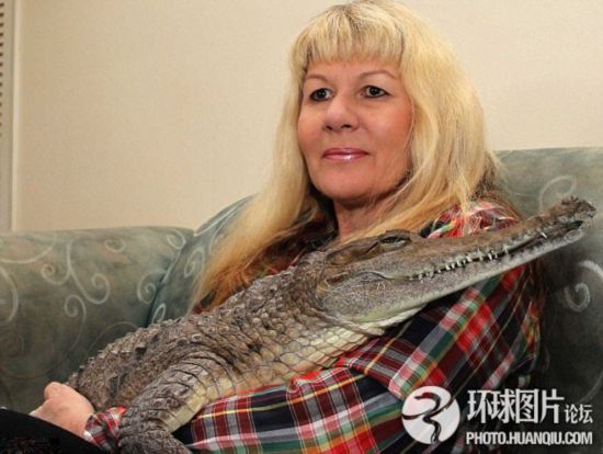主人与宠物间的感人故事