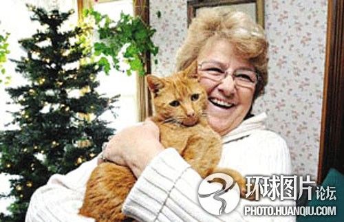 主人与宠物间的感人故事