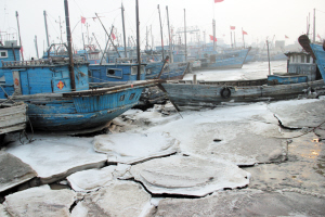 塘沽海鲜码头_塘沽海鲜市场_塘沽中法供水(3)