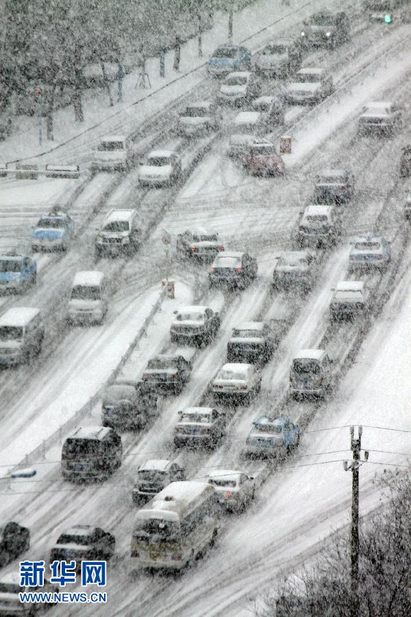 山东威海瑞雪迎春(组图)