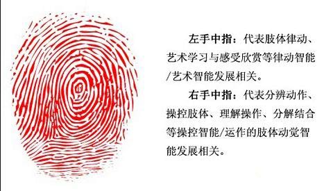 中指
