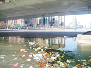 严重影响海河生态环境.本报记者; 河面污染垃圾多