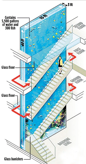 亨利新鱼缸高达4层楼 每年维护花1.2万英镑(图)