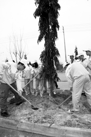 儋州市人口多少_5 12 儋州市人民医院医护人员用 快闪 表白祖国母亲