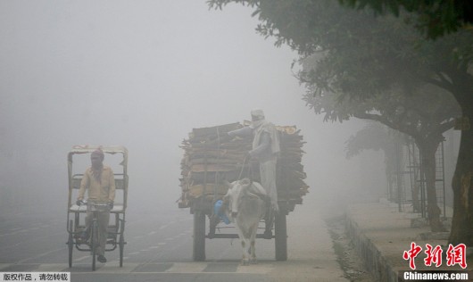 印度新德里空气污染严重 每年有3000人