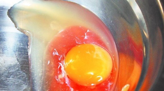 市民买鸡蛋蛋清发红 厂家称母鸡来例假(图)