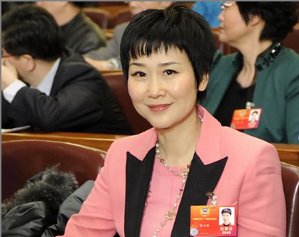 全国政协委员 中电公司董事长 李小琳