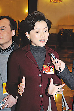 全国政协委员杨澜:慈善立法势在必行(图)