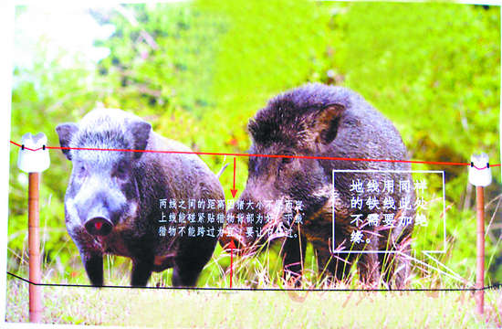 同德围黑店热卖"野兽捕猎器 顾客多为外地人