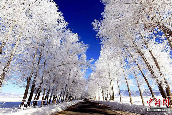 新疆部分地区升温5℃-8℃ 富蕴现雾凇美景(图)