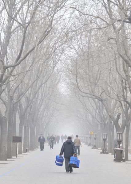 一位市民在北京天坛公园内遛鸟 新华社记者 李文摄