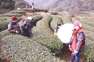 在武夷山景区茶园取景