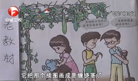 小学生给教材插图纠错 编委会专家写信致谢(视频)
