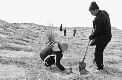 中国农民有多少人口_...民勤植梭治沙 农民增收 走基层 一线见闻(2)