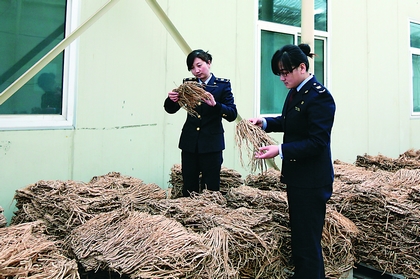 甘肃中药材出口价格稳定(图)