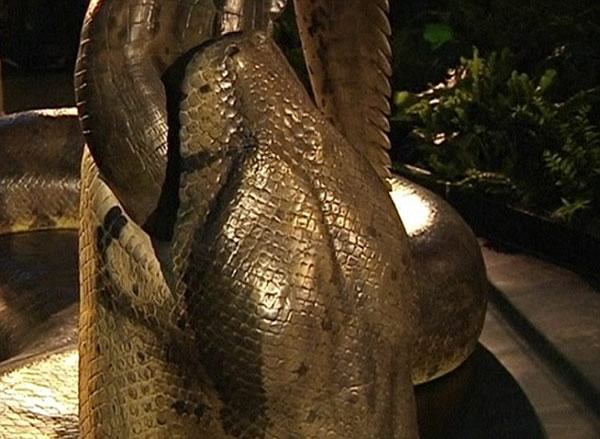 恐龙灭绝后陆地最大捕食者:泰坦巨蟒荧屏重生