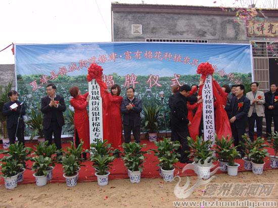 夏津县银津、富有两家棉花专业合作社举行揭牌