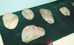 北京猿人使用的石器