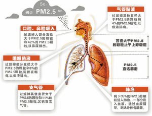 宁波PM2.5浓度逐年上升 四方面入手治理污染
