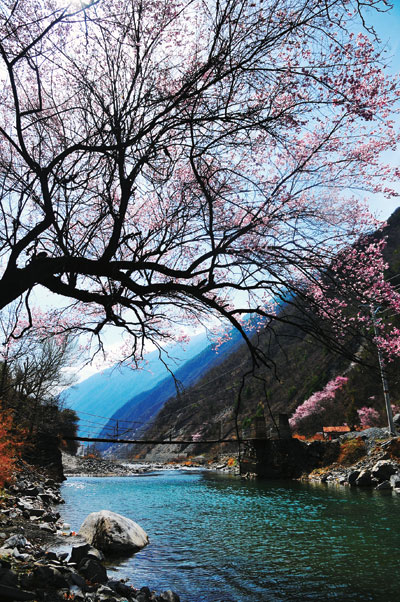 感受"山下桃花红,山上雪花白"的独特景象(图)