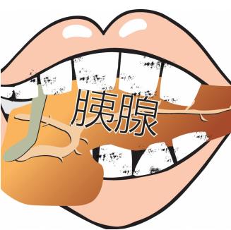 有牙周病的人患糖尿病的风险是平常人的两倍