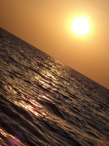 Ȧ:F4.8 :1/400 sec ISO:64 鿴ԭͼ