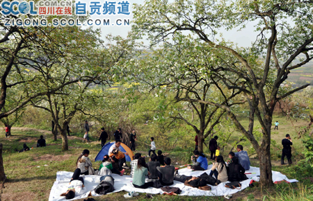 走进自贡第十三届三多寨梨花风筝节(组图)