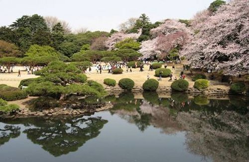 日本赏樱季 斯巴鲁赞助您2万元旅游基金(组图
