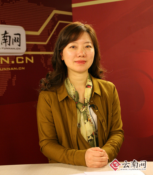 云南省国税局长与网友在线交流 共话纳税热点