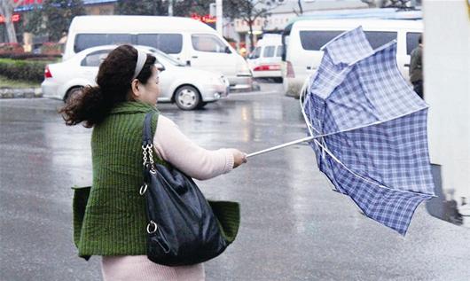 图文:风雨大作 行人遭殃