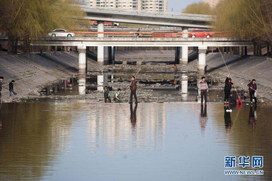 北京市区河道换水 大批市民河内捞鱼