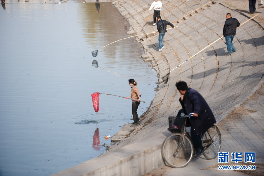 北京市区河道换水 大批市民河内捞鱼