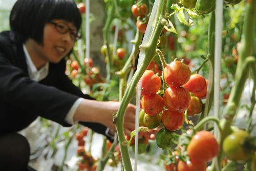 乡村旅游富农家(组图)