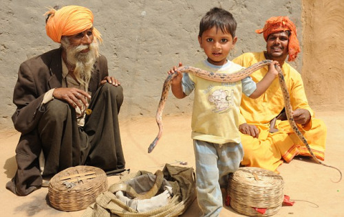 2岁的印度男孩苏米特小小年纪就跟着家人在街头耍蛇卖艺。