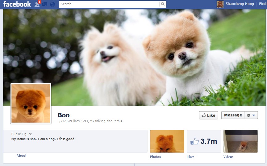 facebook主页:booiphone安装ipa图片