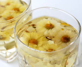 清明前后喝菊花