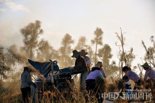 报告称中国农村空心化严重 传统信任关系瓦解
