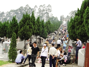 樊芸)昨天是清明节,番禺祥和永久陵园(下简称祥和陵园)迎来了拜祭高峰