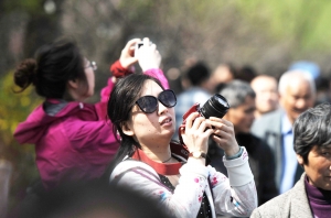 清明小长假，众多外地游客拿起相机手机画笔，将扬州美景带回家。司新利 摄